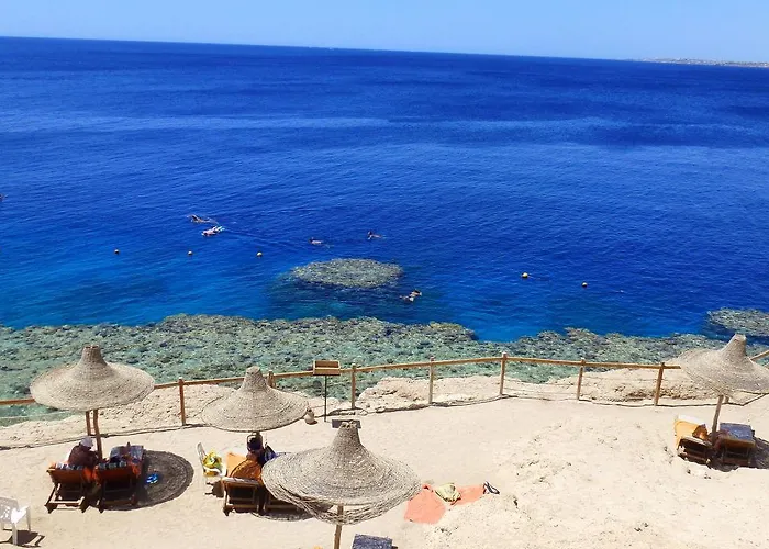 Hotel Grand Halomy 3*